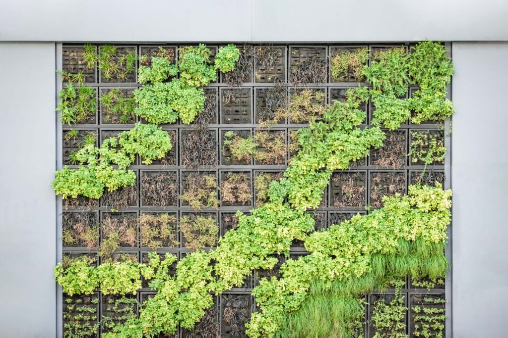 Een verticale tuin aanleggen Plukdestad.nl